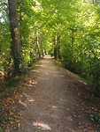 University of Limerick Campus
