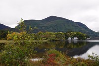 Killarney National Park