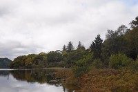 Killarney National Park