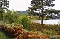 Killarney National Park