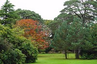 Killarney National Park