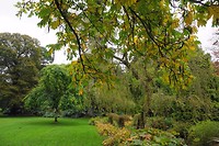 Killarney National Park