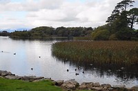 Ross Castle
