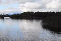 Ross Castle