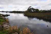 Ross Castle