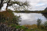 Ross Castle