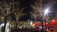 Den Haag