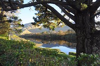 Kylemore Abbey