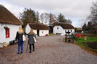 Kerry Bog Village