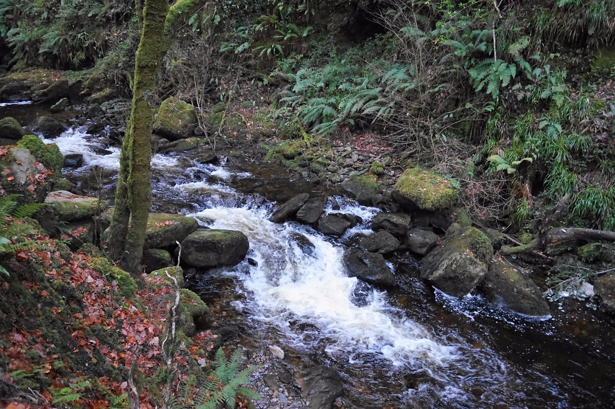 Torc Waterfall