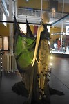DSC01391