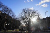 DSC01426