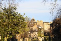 DSC01518