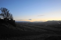 DSC01553