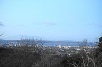 DSC01559