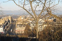 DSC01603