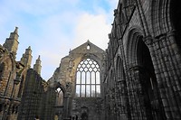 DSC01683