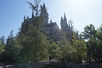 DSC03587