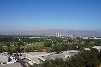 DSC03614