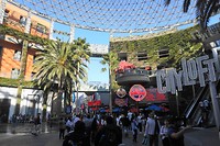 DSC03618