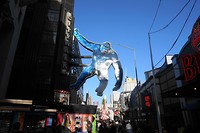 DSC03619