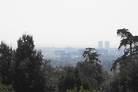 DSC03645