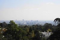 DSC03652