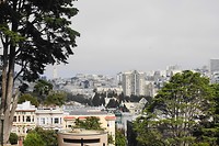 DSC03691