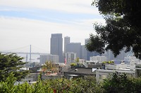 DSC03781