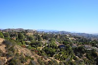 DSC03873