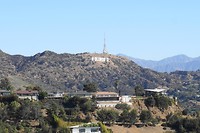 DSC03887