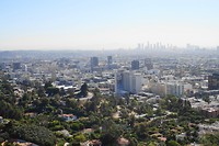 DSC03908