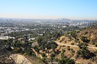 DSC03910