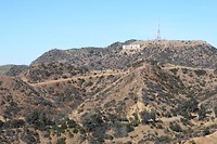 DSC03914