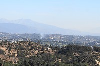 DSC03940