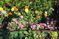 DSC04020
