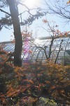 DSC04030