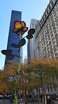 20191115_130011