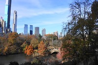 DSC04281