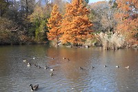 DSC04290