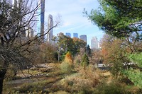 DSC04293
