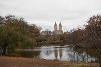 DSC04320