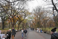 DSC04322