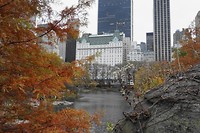 DSC04324