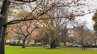 20191119_150832