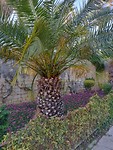 IMG_20190201_153726