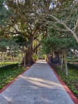 IMG_20190201_154538