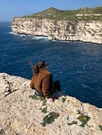 IMG_0491