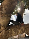 IMG_0587