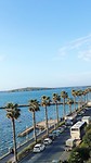 IMG_0595